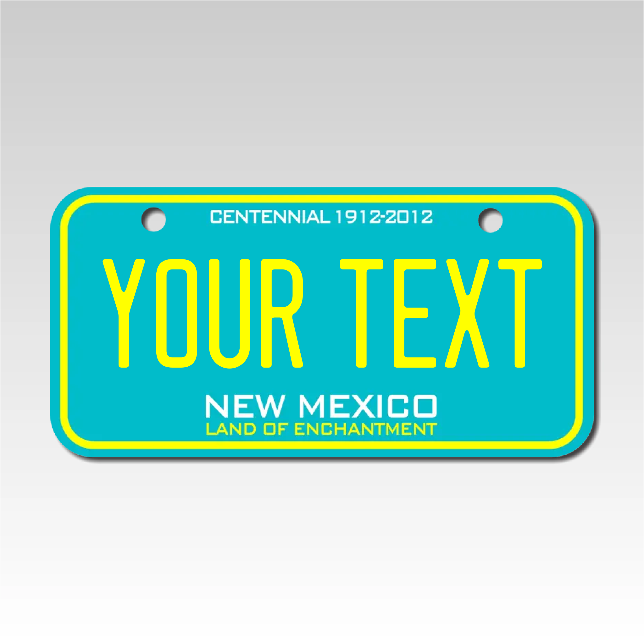 Personalized New Mexico 3" X 6" Aluminum License Plate Version 3