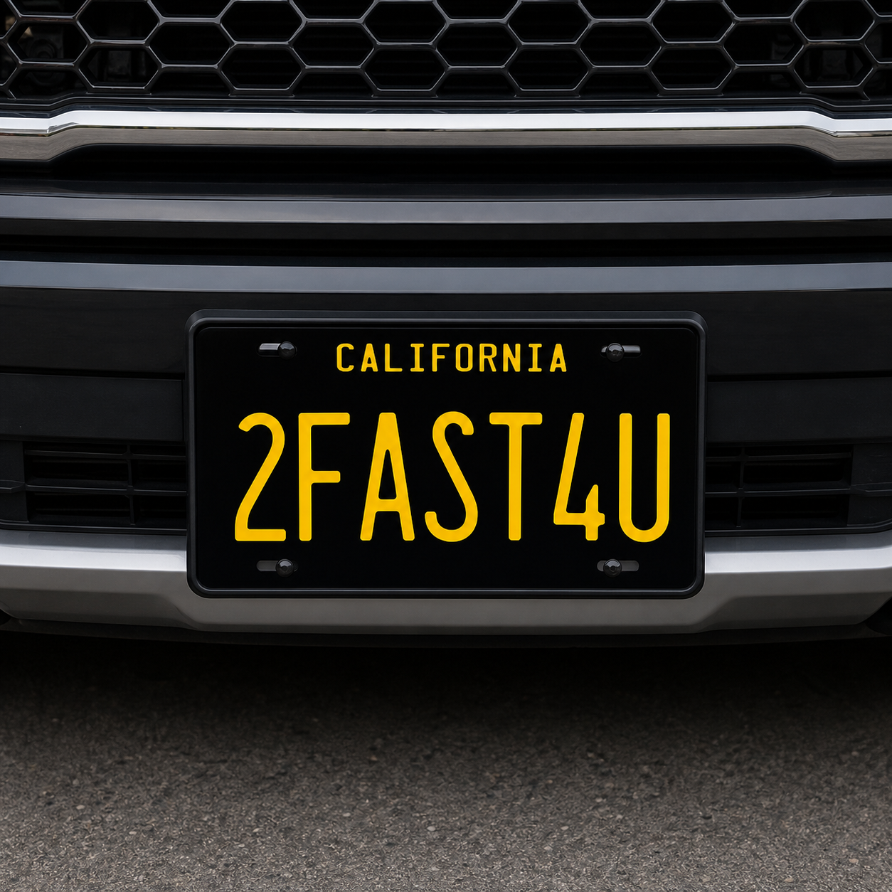 6" X 12" Full Size License Plates
