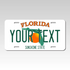 Personalized Florida 6" X 12" Aluminum Souvenir License Plate Version 1
