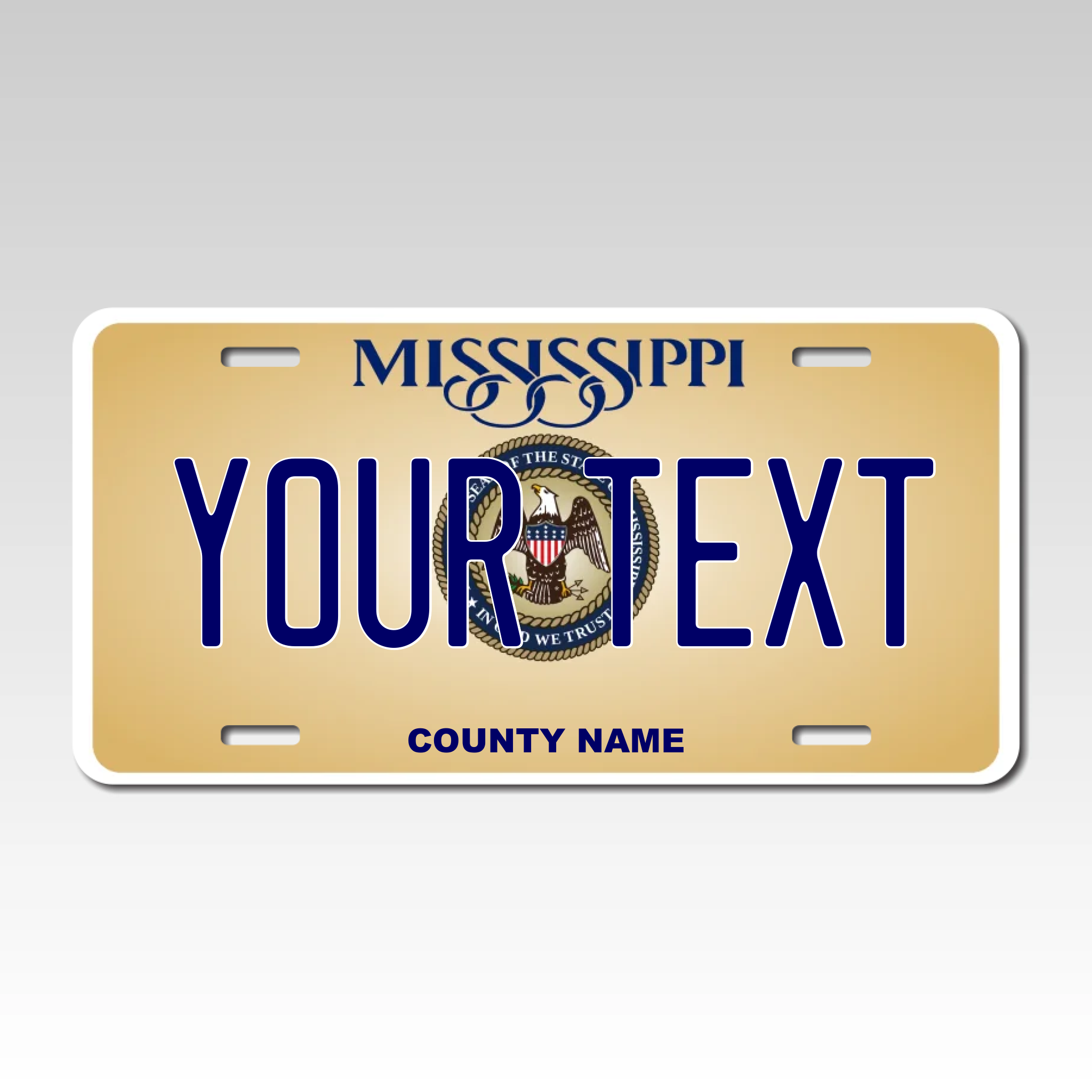 Personalized Mississippi 6" X 12" Aluminum License Plate