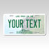 Personalized New Hampshire 6" X 12" Aluminum Souvenir License Plate Version 1