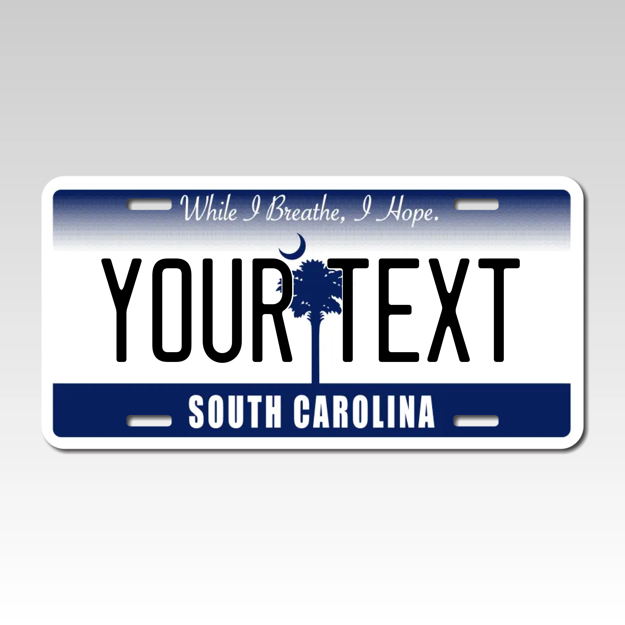 Personalized South Carolina 6" X 12" Aluminum Souvenir License Plate Version 4