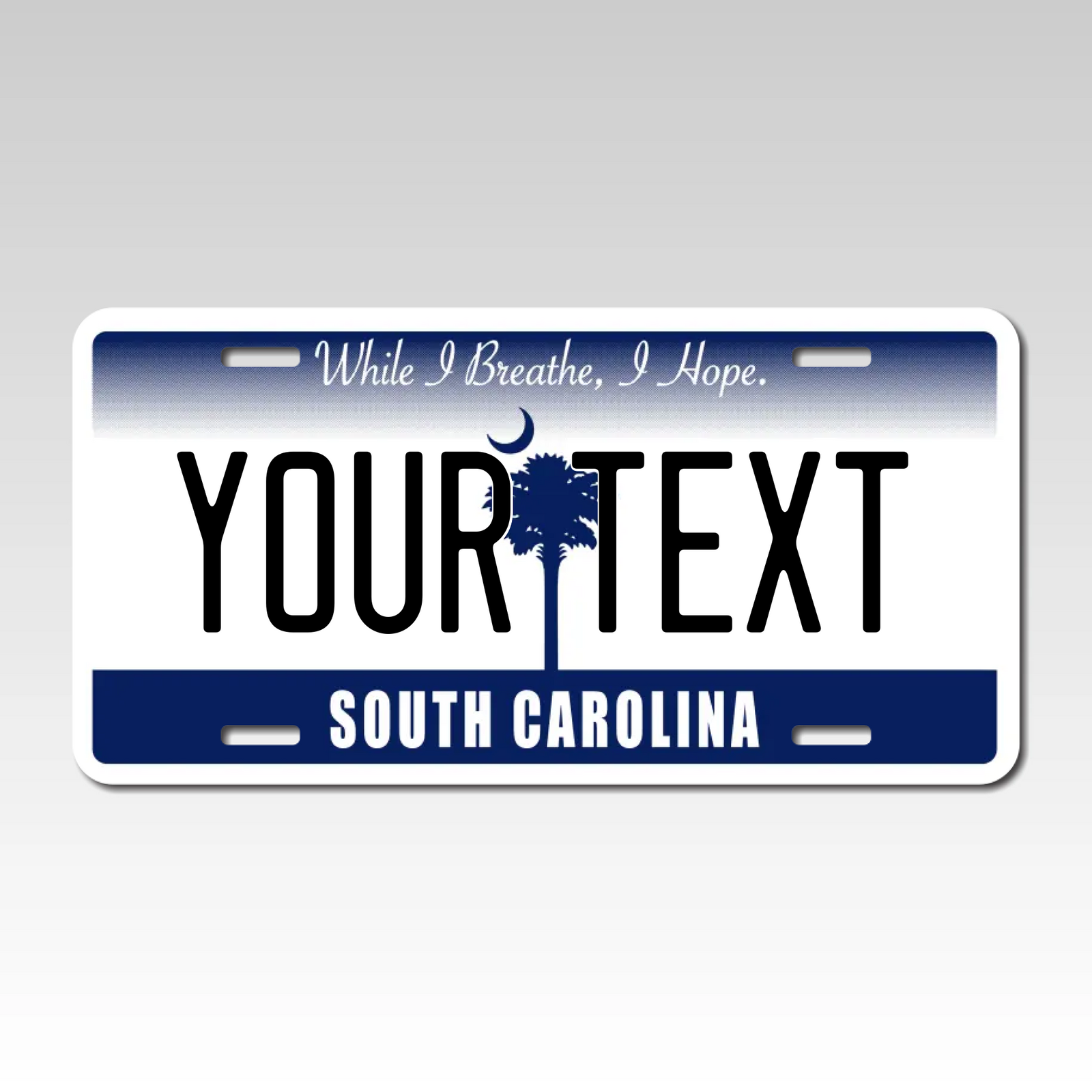 Personalized South Carolina 6