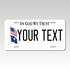 Personalized South Carolina 6" X 12" Aluminum Souvenir License Plate Version 5 In God We Trust