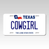 Personalized Texas 6" X 12" Aluminum Souvenir License Plate Version 1