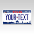Personalized Texas 6" X 12" Aluminum Souvenir License Plate Version 3