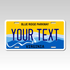 Personalized Virginia 6" X 12" Aluminum Souvenir License Plate Version 4