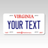 Personalized Virginia 6" X 12" Aluminum Souvenir License Plate Version 1