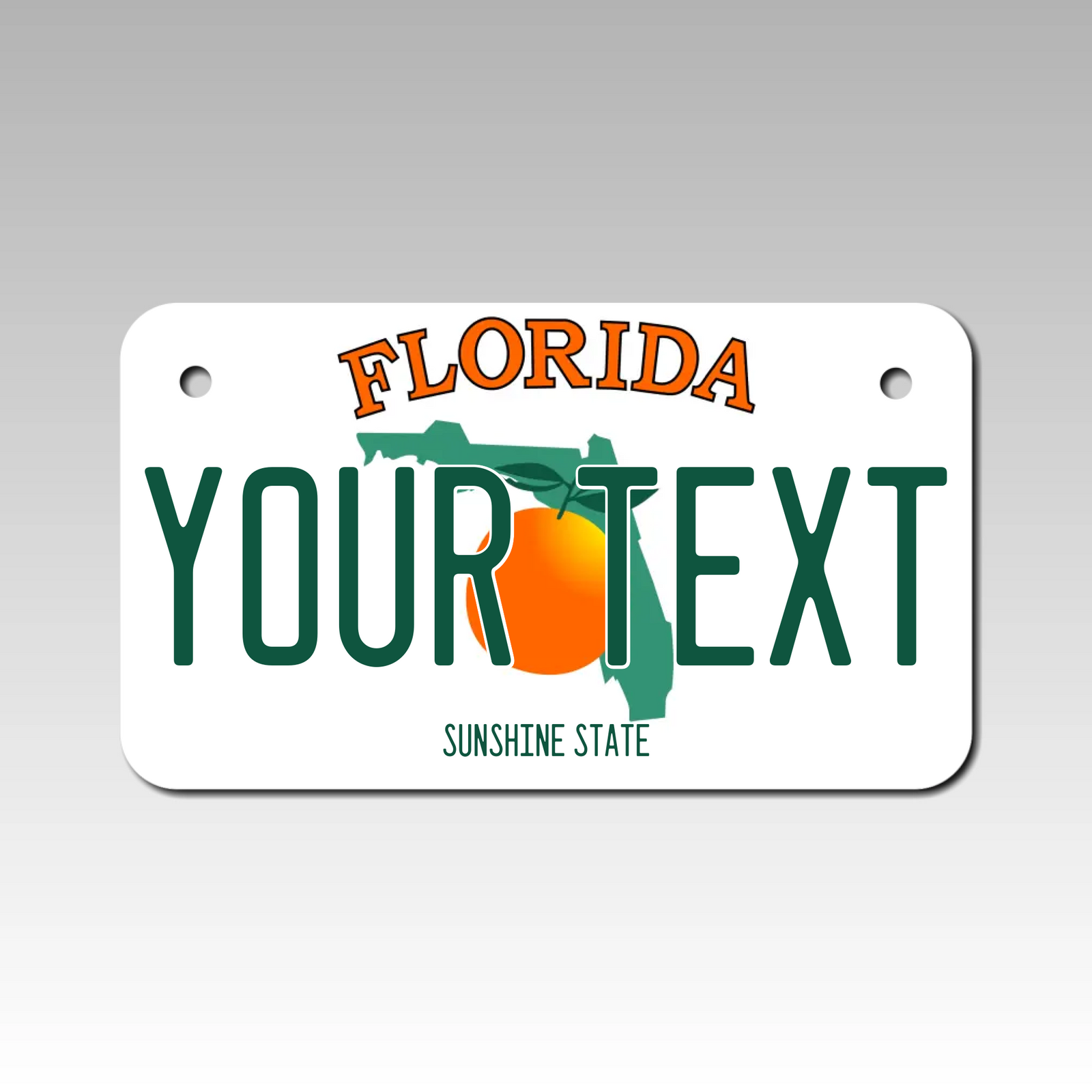 Personalized Florida 4