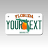 Personalized Florida 4" X 7" Aluminum License Plate (KLP-FL2-4X7)