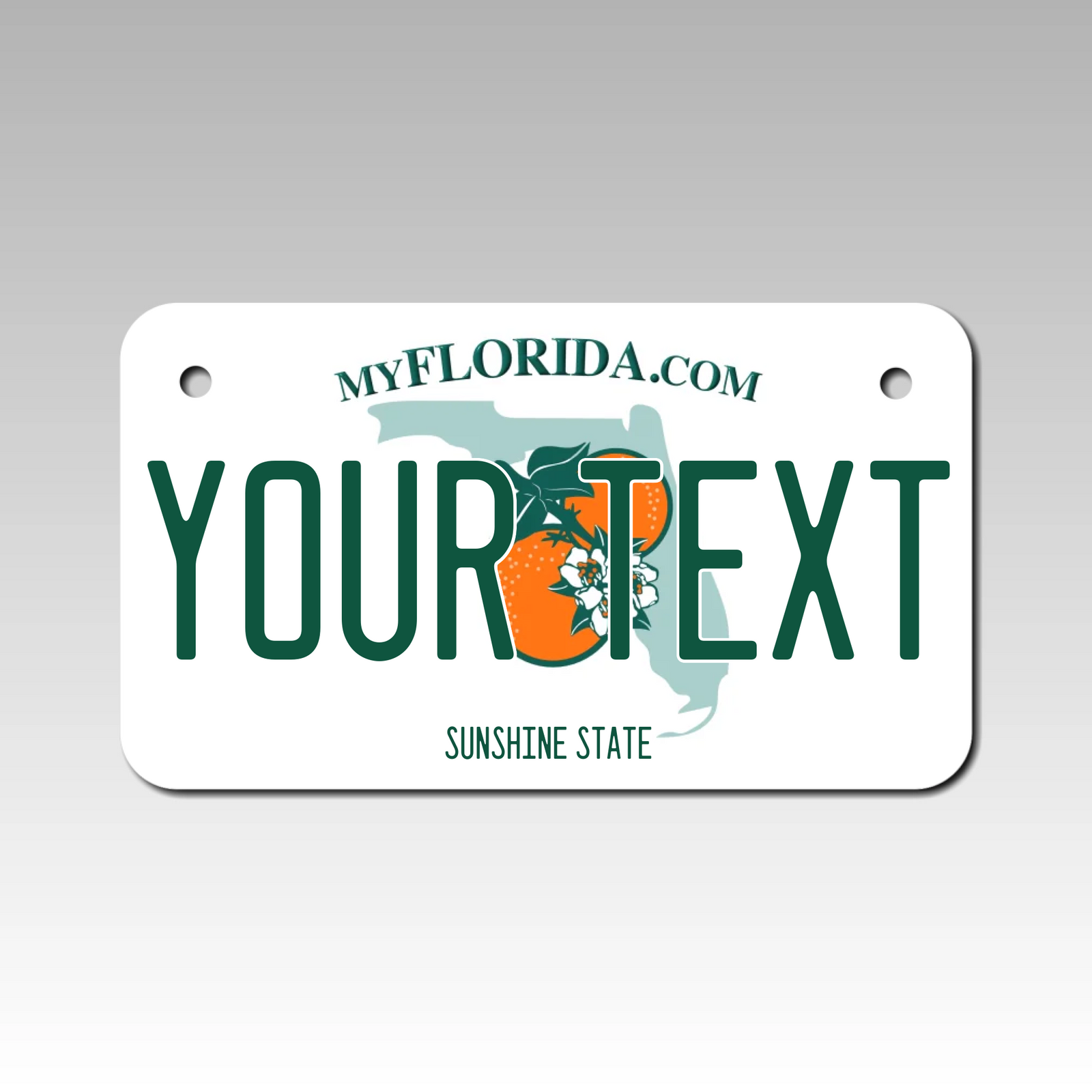 Personalized Florida 4