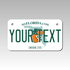 Personalized Florida 4" X 7" Aluminum License Plate Version 1