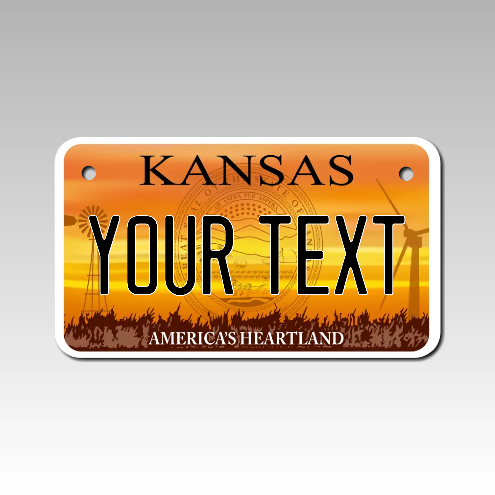 Personalized Kansas 4" X 7" Aluminum License Plate Version 4
