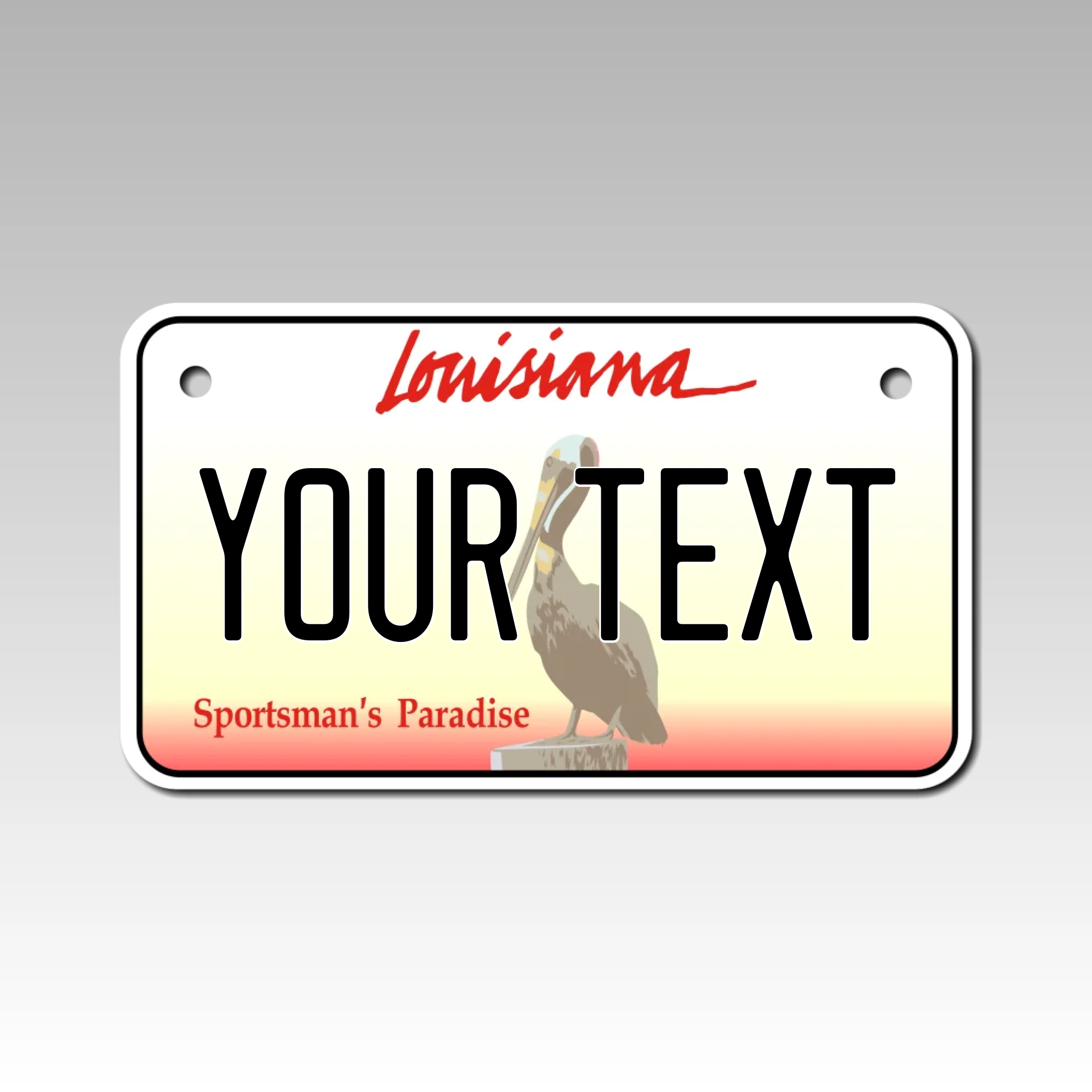 Personalized Louisiana 4" X 7" Aluminum License Plate Version 2