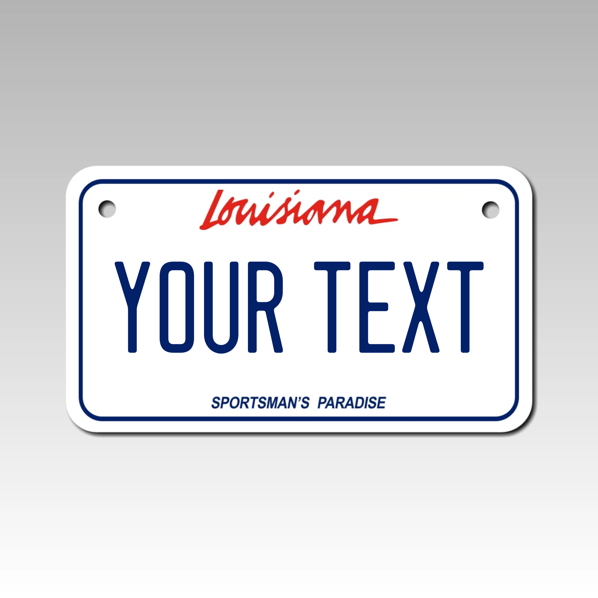 Personalized Louisiana 4" X 7" Aluminum License Plate Version 1