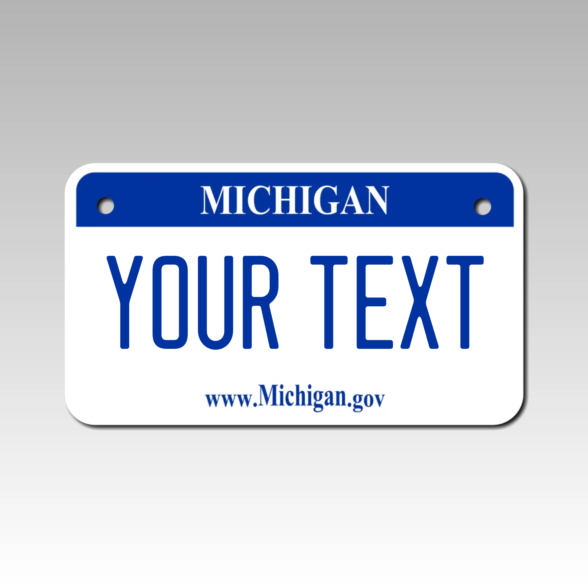 Personalized Michigan 4" X 7" Aluminum License Plate Version 1