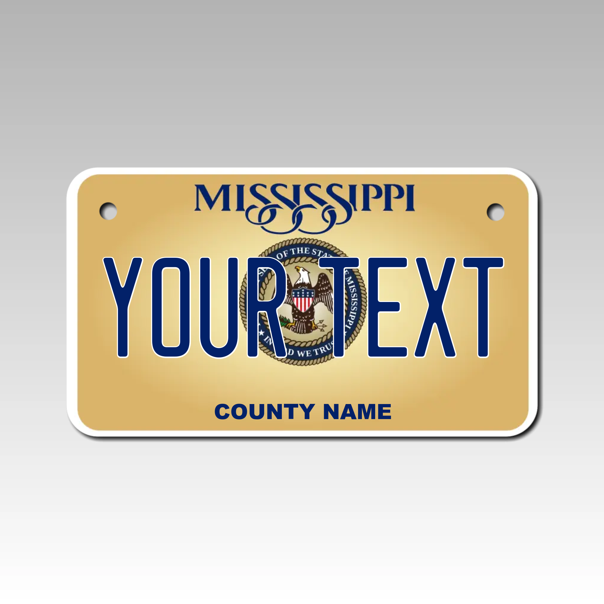 Personalized Mississippi 4" X 7" Aluminum License Plate