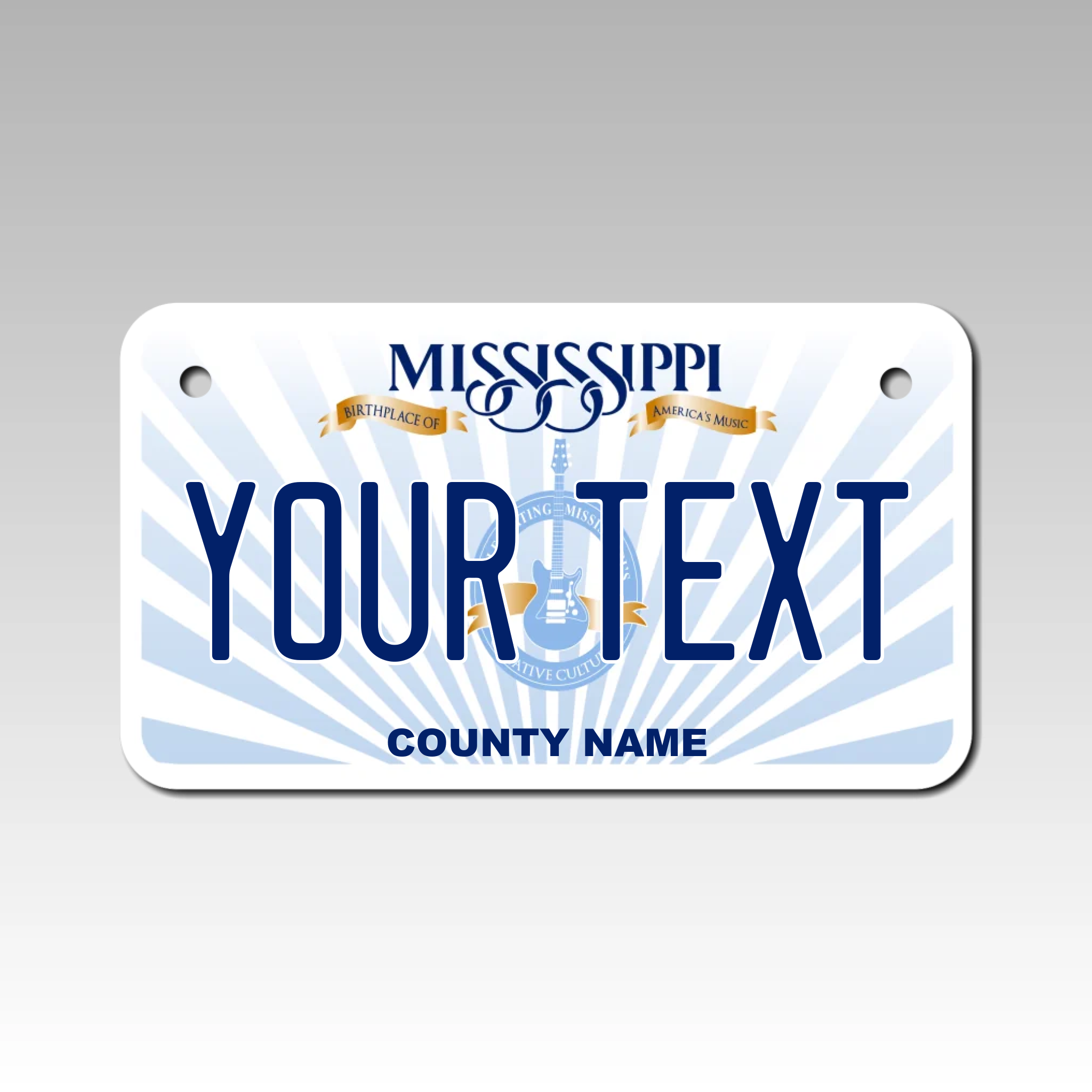 Personalized Mississippi 4" X 7" Aluminum License Plate