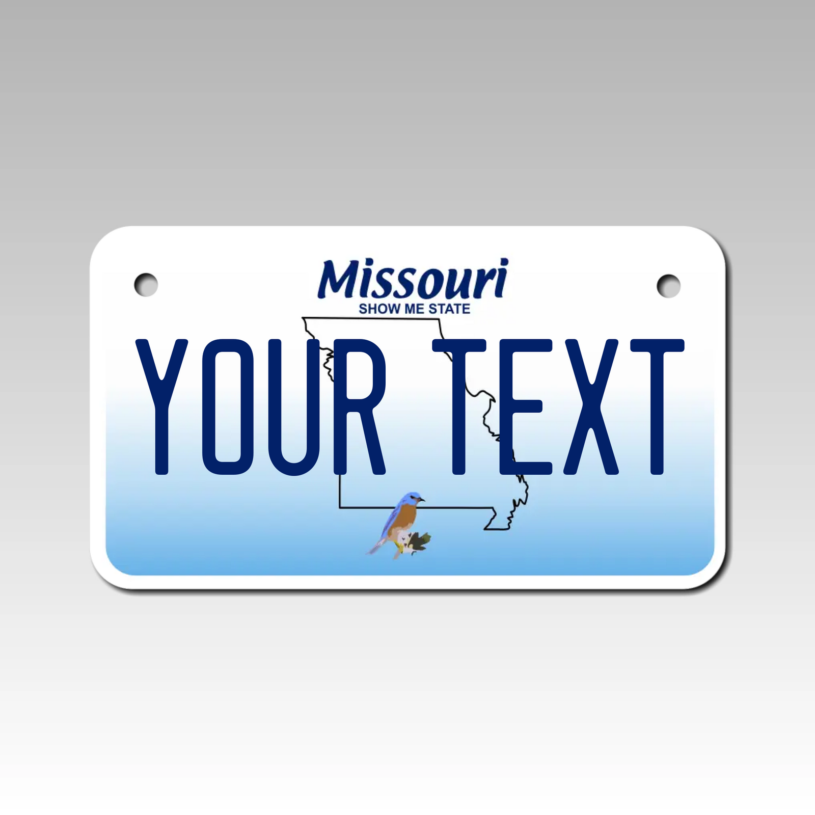 Personalized Missouri 4