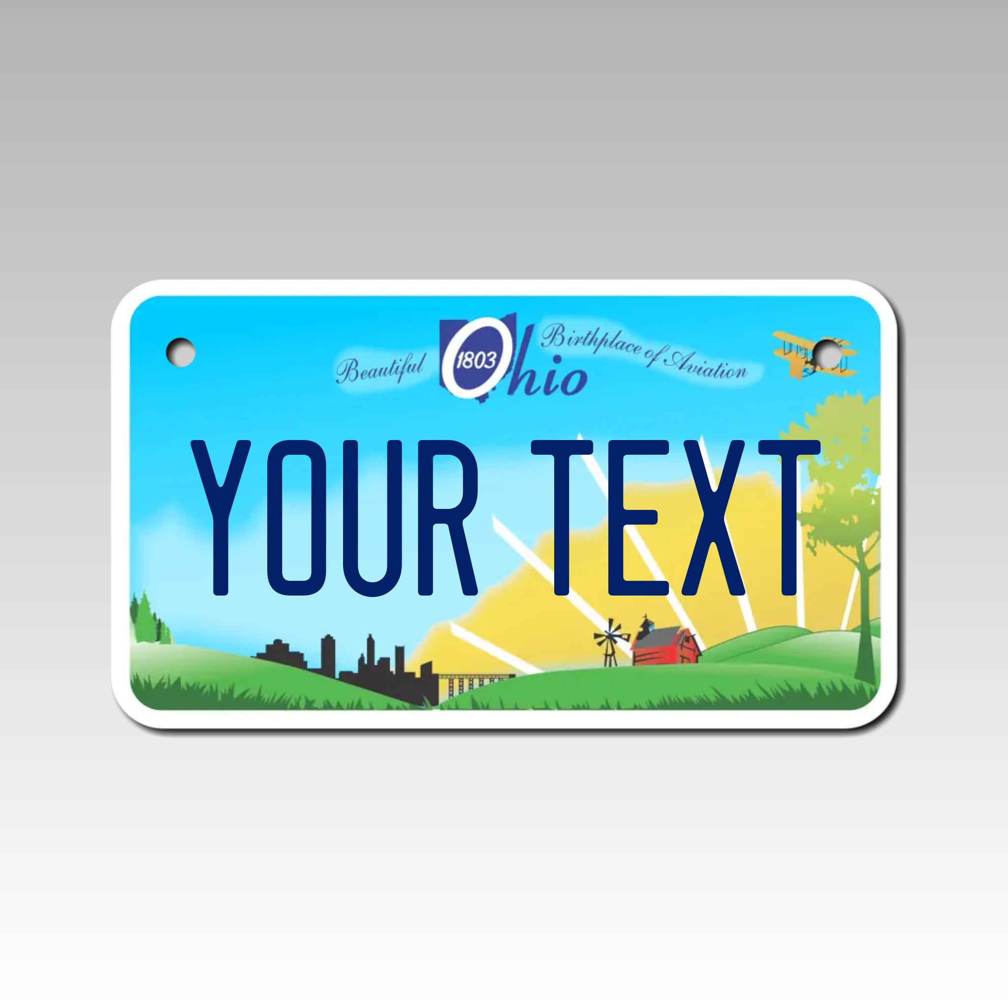 Personalized Ohio 4" X 7" Aluminum License Plate Version 2