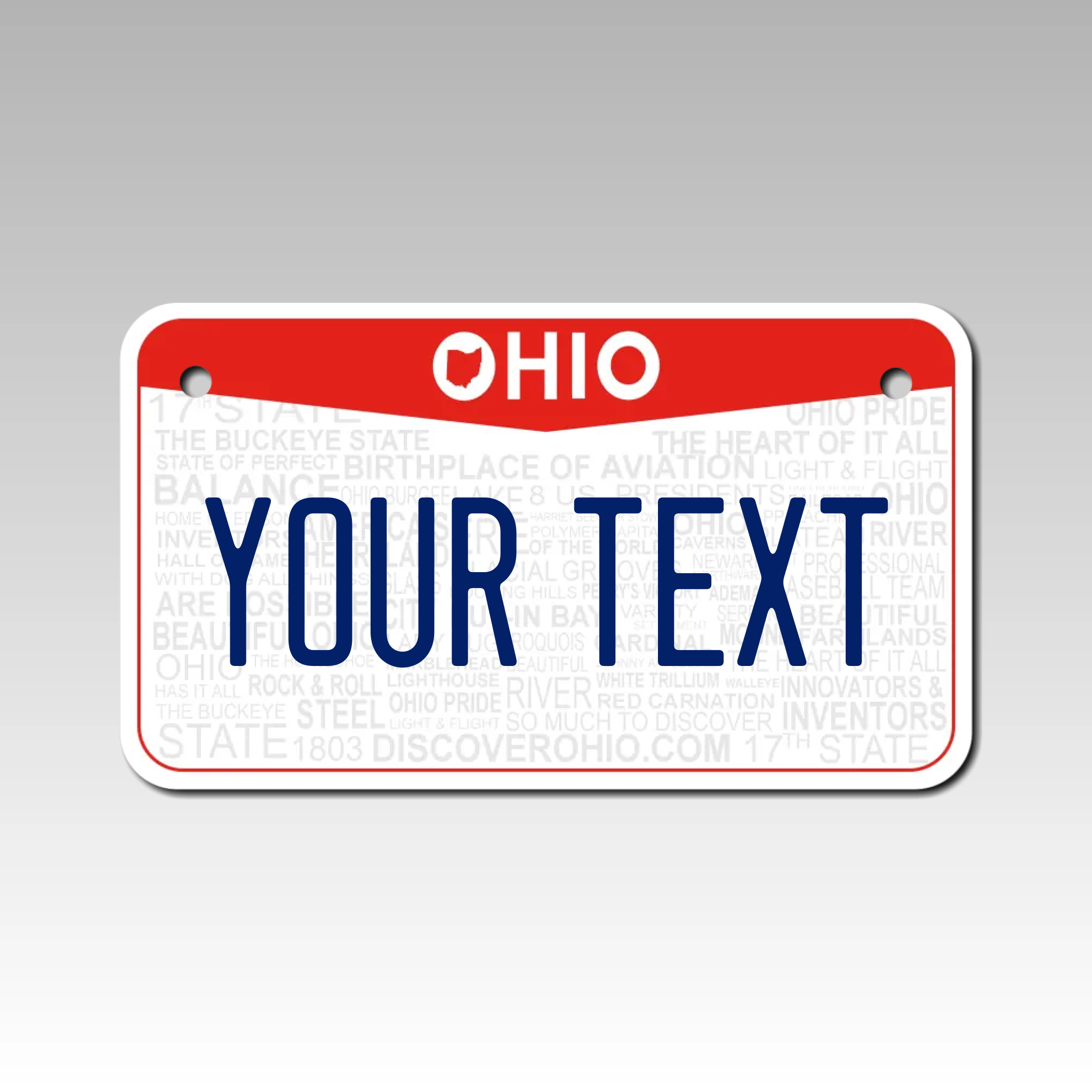 Personalized Ohio 4" X 7" Aluminum License Plate Version 3