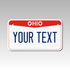 Personalized Ohio 4" X 7" Aluminum License Plate Version 3