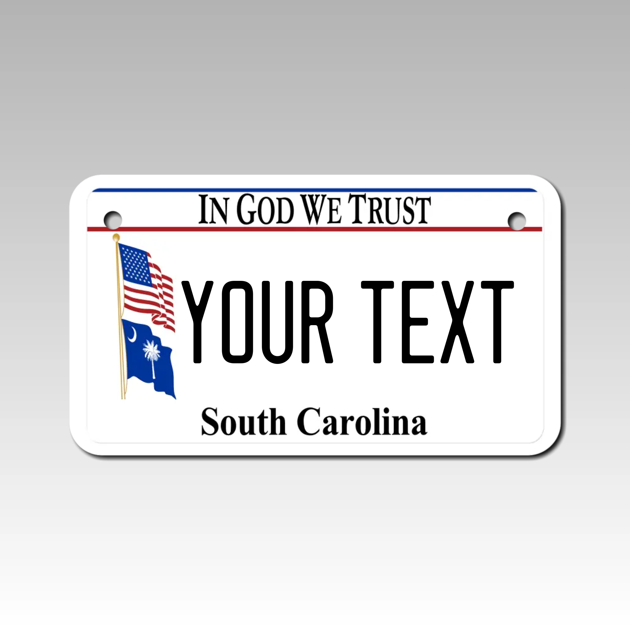 Personalized South Carolina 4" X 7" Aluminum License Plate Version 5 In God We Trust