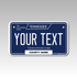 Personalized Tennessee 4" X 7" Aluminum License Plate