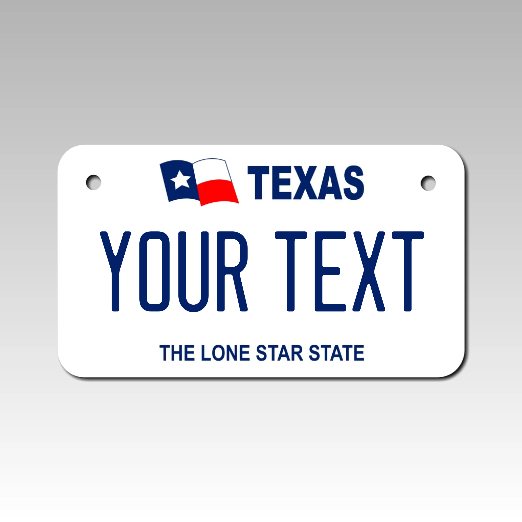 Personalized Texas 4" X 7" Aluminum License Plate Version 1