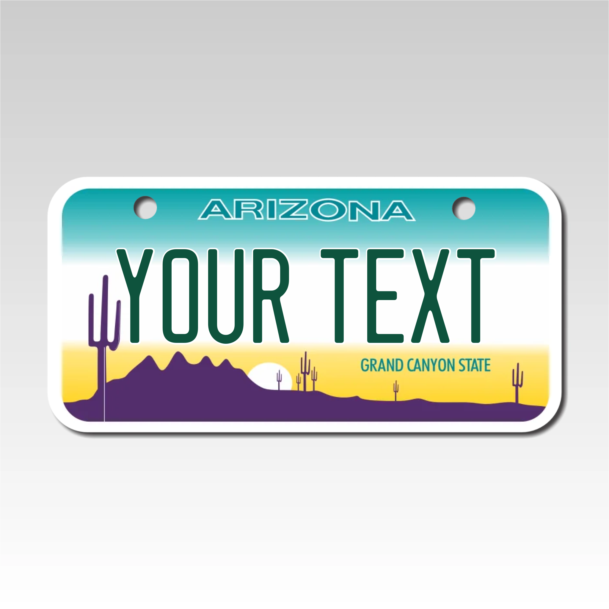 Personalized Arizona 3" X 6" Aluminum License Plate Version 1