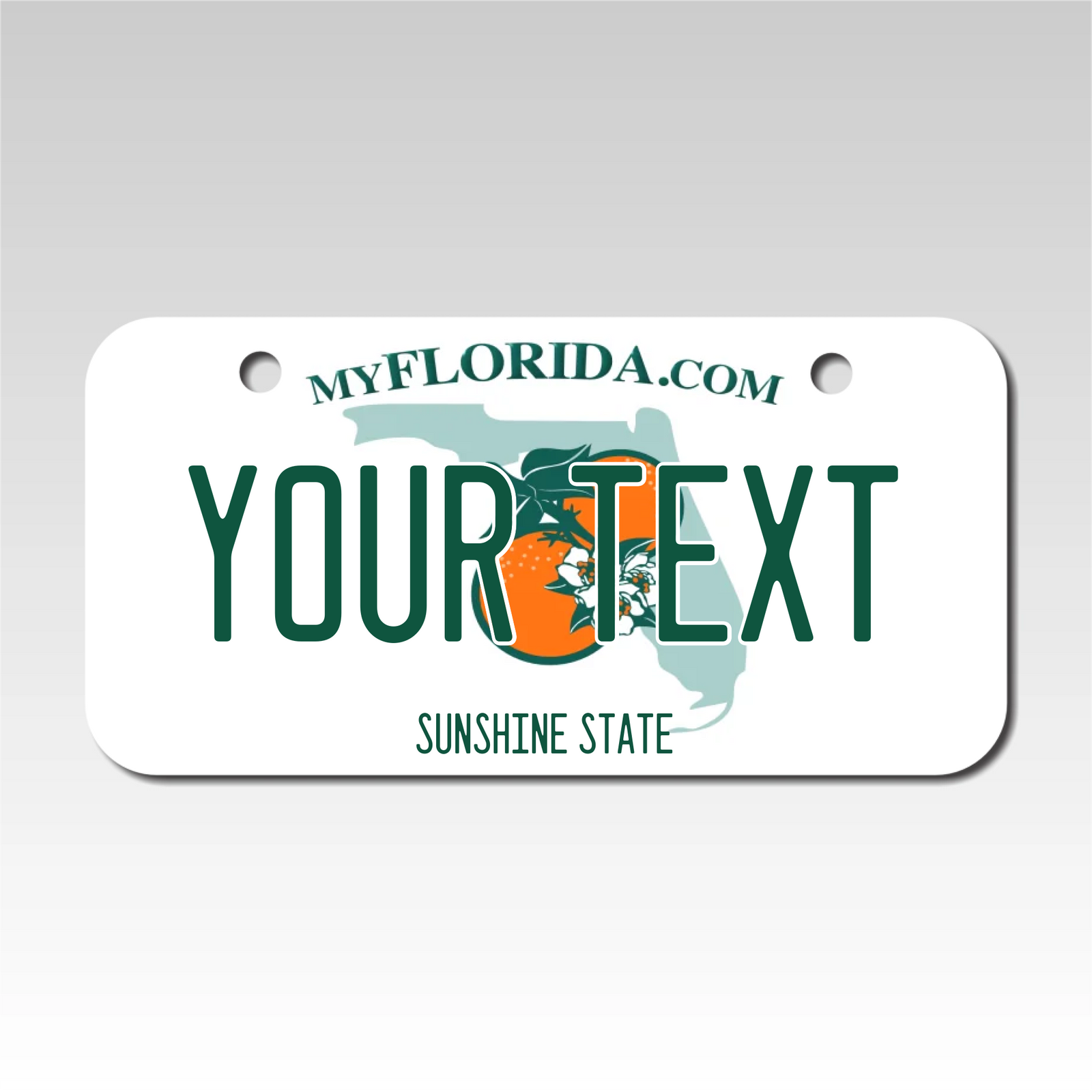 Personalized Florida 3