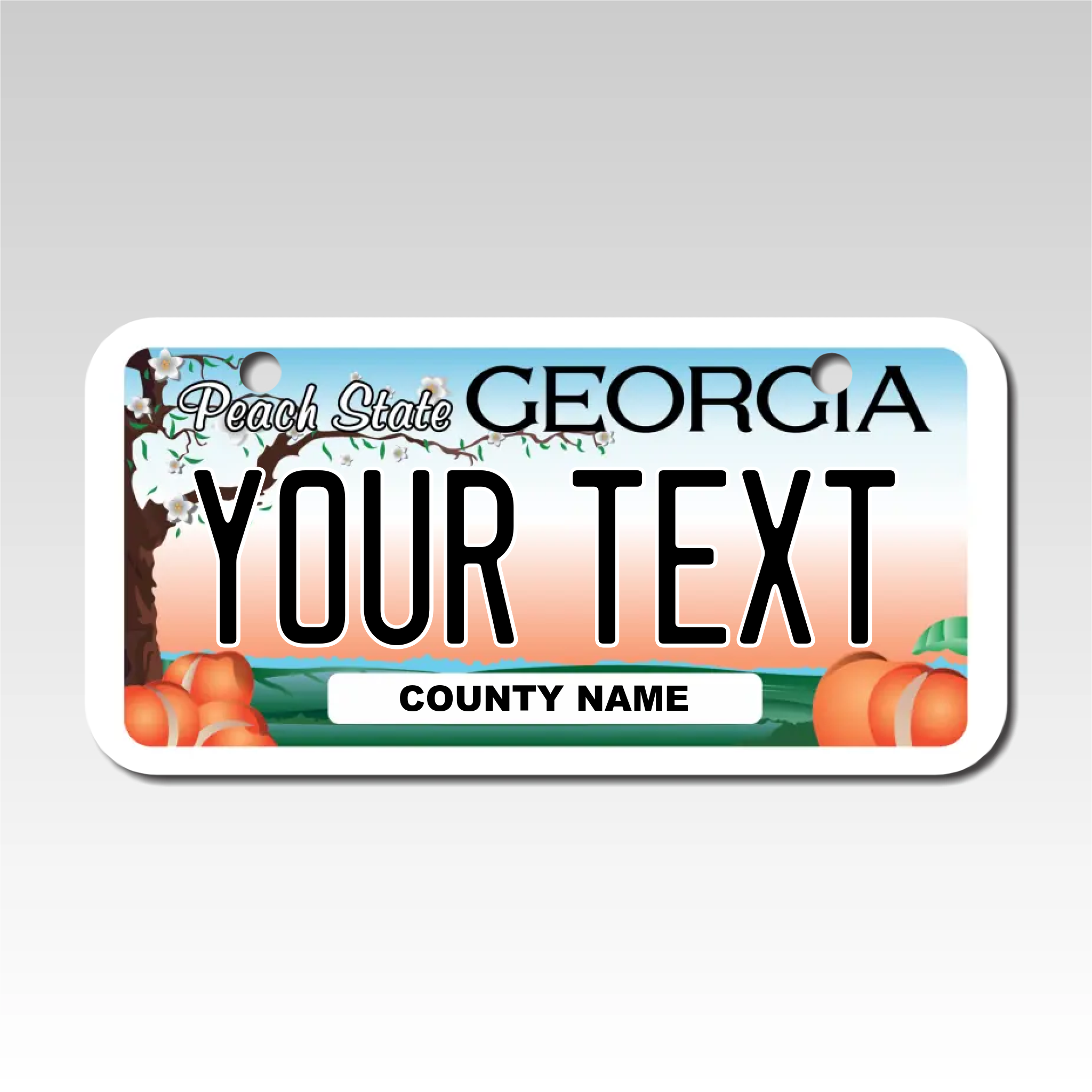 Personalized Georgia 3" X 6" Aluminum License Plate Version 3 Peach State