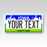 Personalized Iowa 3" X 6" Aluminum License Plate