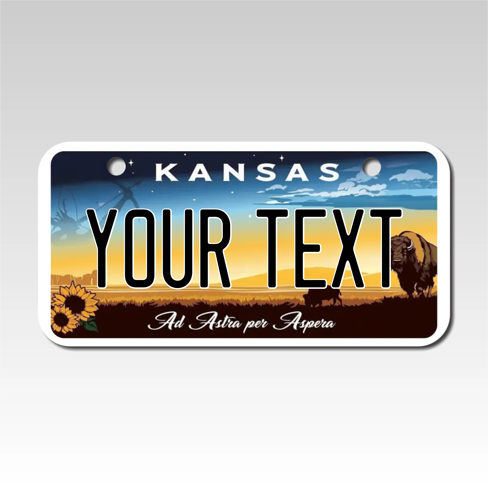 Personalized Kansas 3" X 6" Aluminum License Plate Version 7 Ad astra per aspera