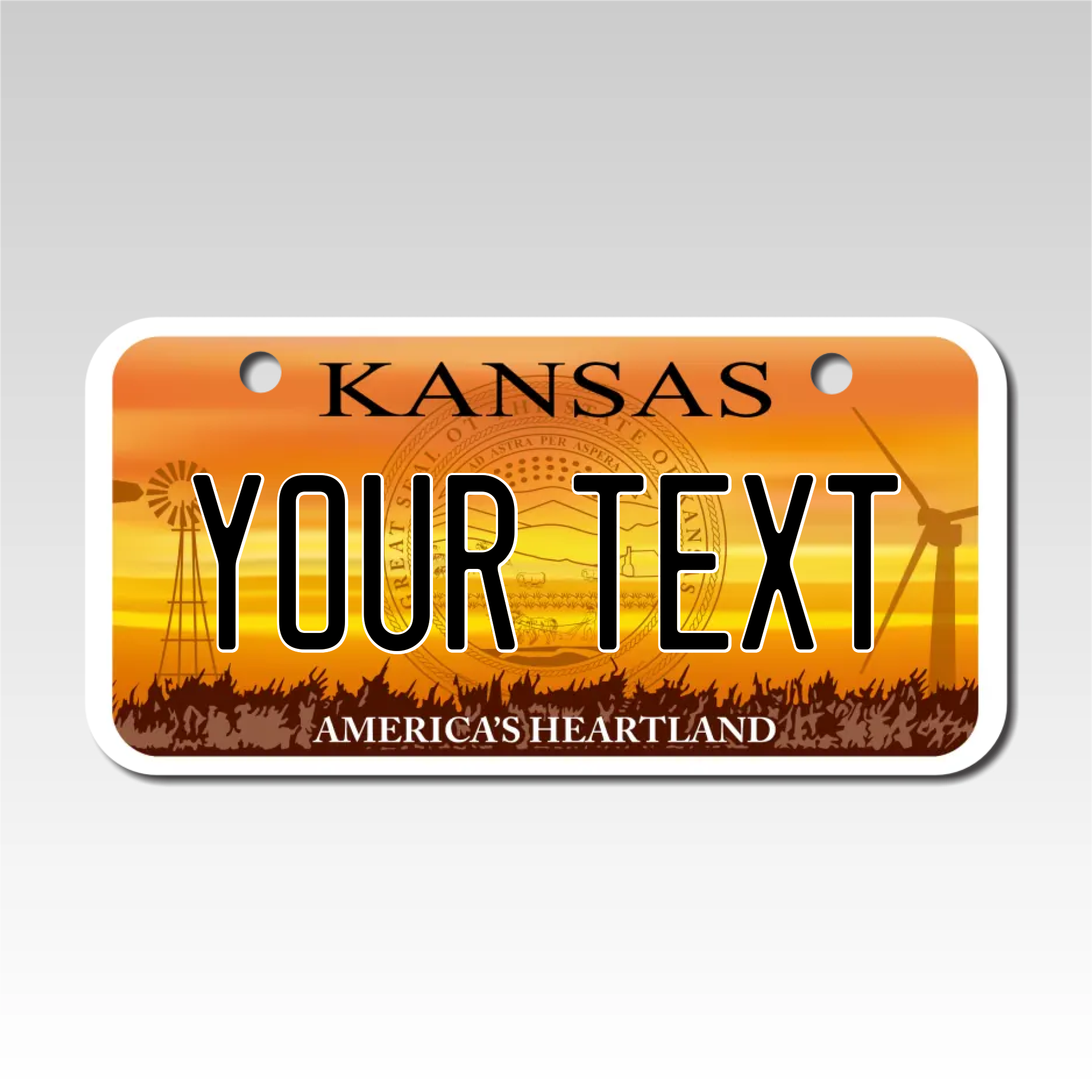 Personalized Kansas 3" X 6" Aluminum License Plate Version 4