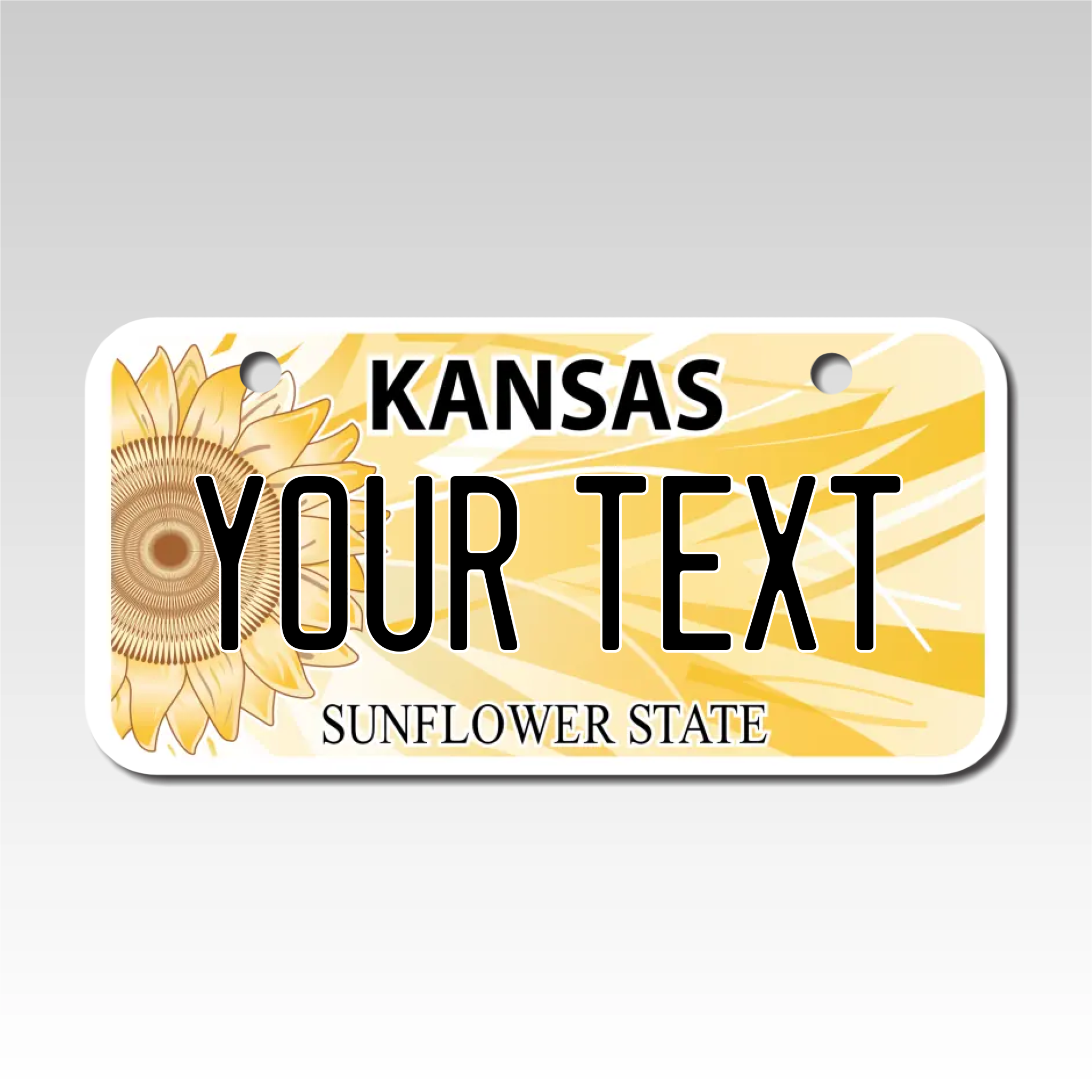 Personalized Kansas 3" X 6" Aluminum License Plate Version 3