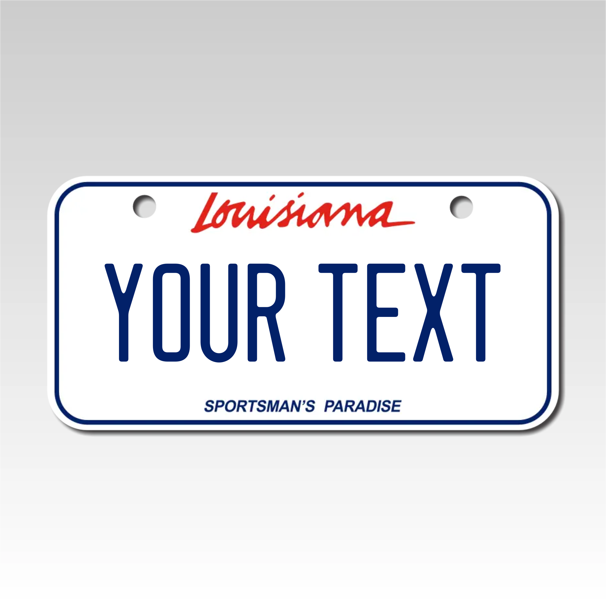 Personalized Louisiana 3" X 6" Aluminum License Plate Version 1