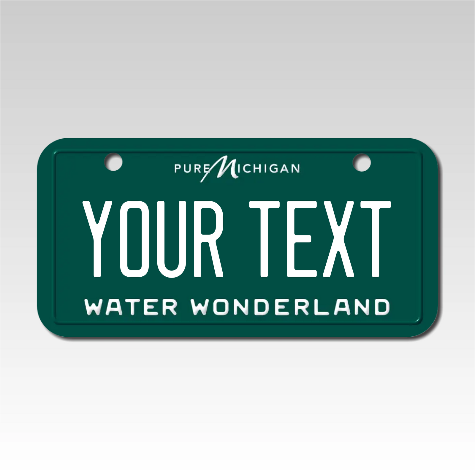 Personalized Michigan 3