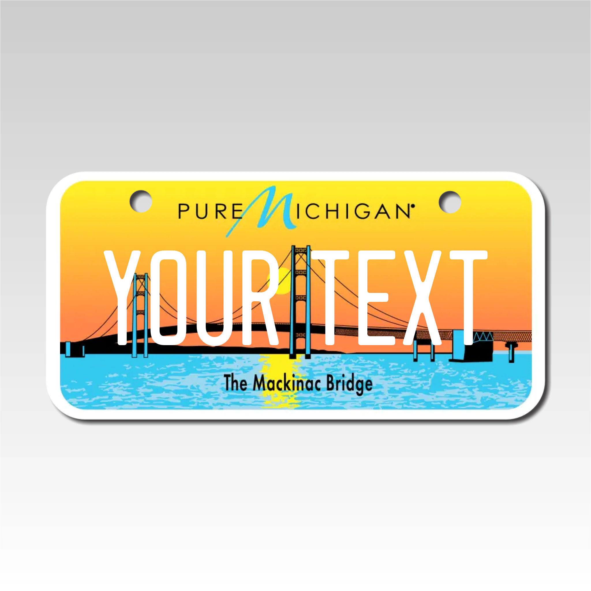 Personalized Michigan 3" X 6" Aluminum License Plate Version 4