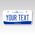 Personalized Michigan 3" X 6" Aluminum License Plate Version 3