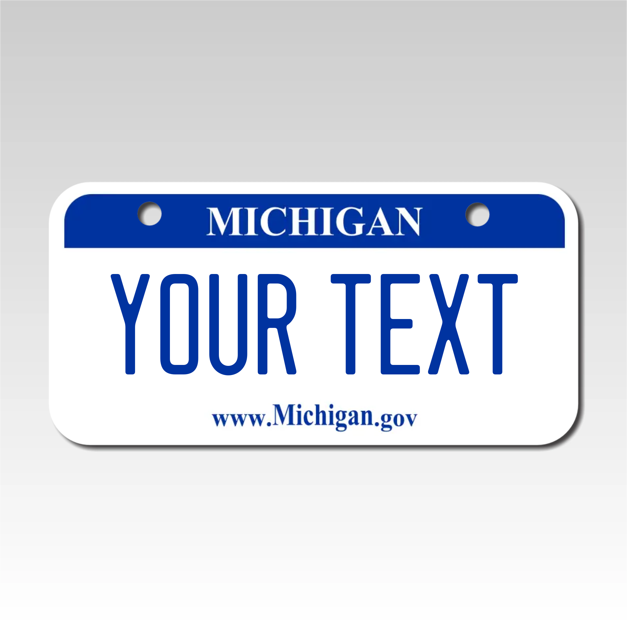 Personalized Michigan 3" X 6" Aluminum License Plate Version 1