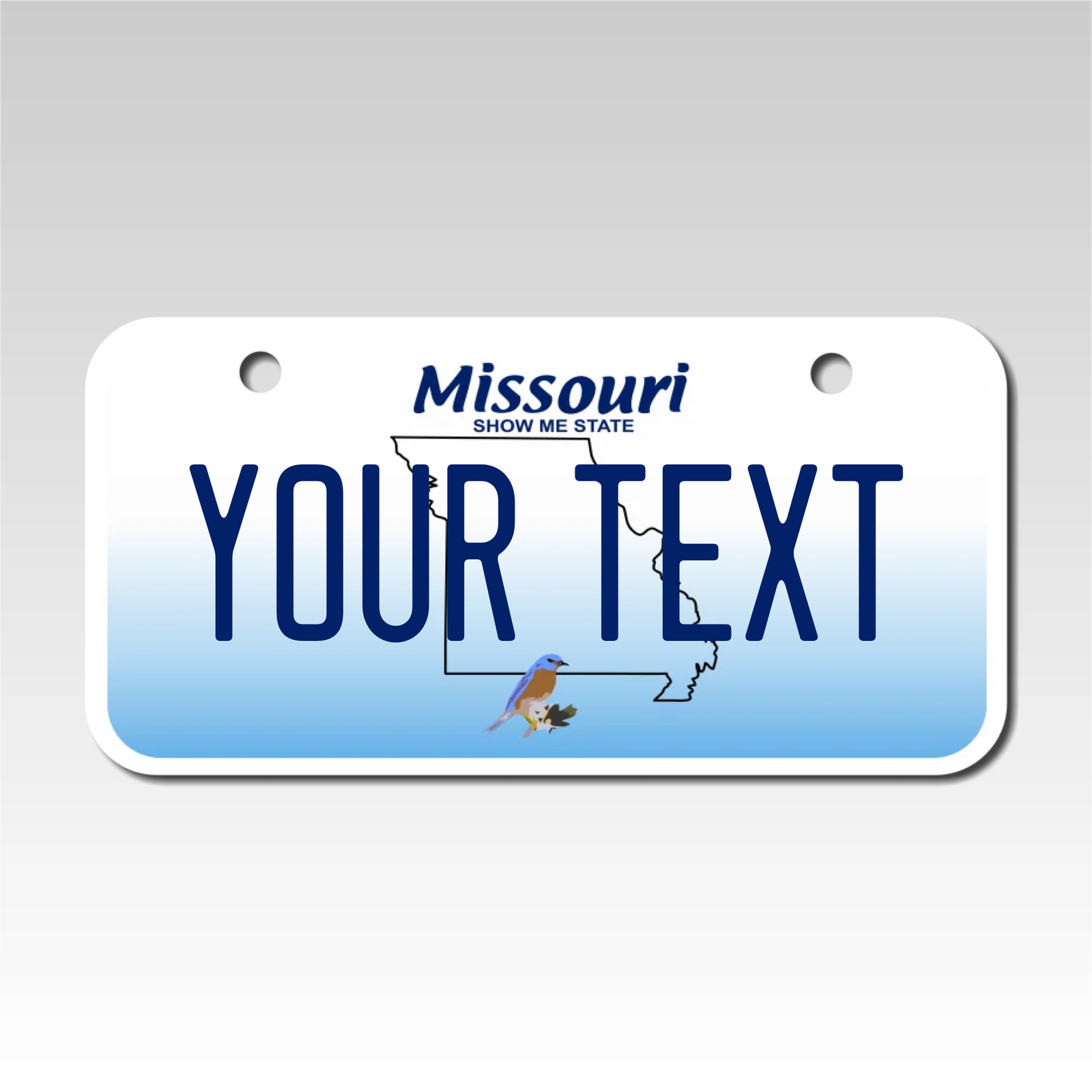 Personalized Missouri 3