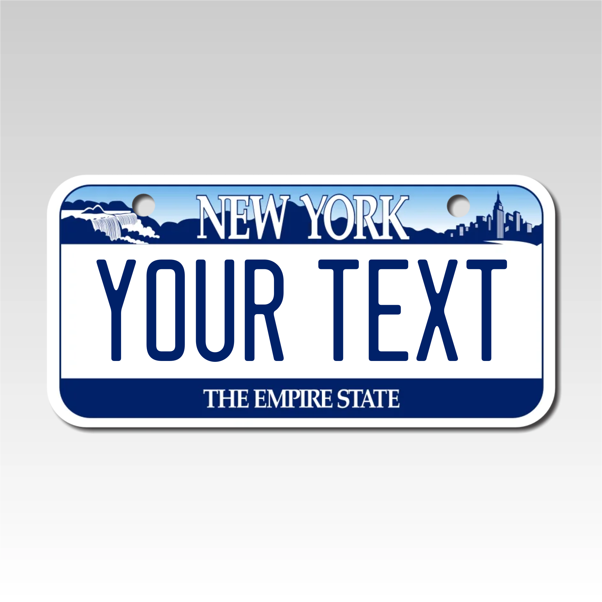 Personalized New York 3" X 6" Aluminum License Plate Version 1