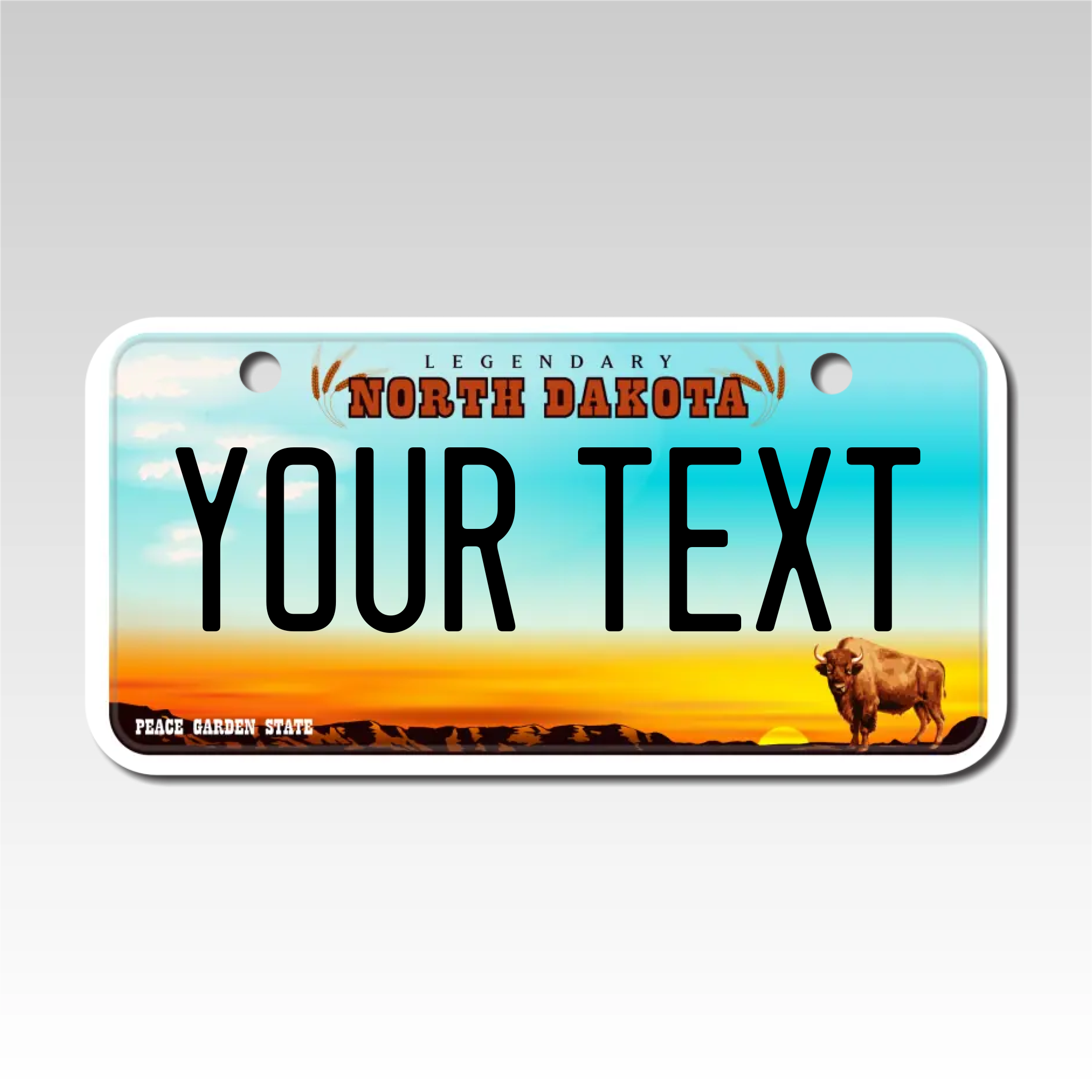 Personalized North Dakota 3" X 6" Aluminum License Plate Version 2 Peace Garden State