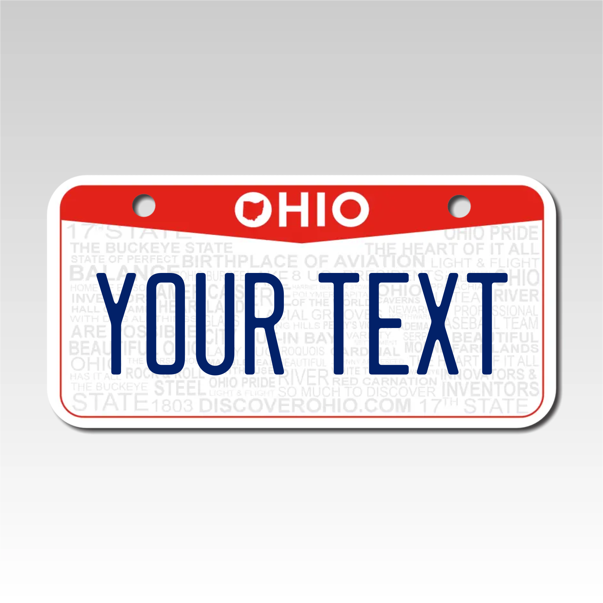 Personalized Ohio 3" X 6" Aluminum License Plate Version 3