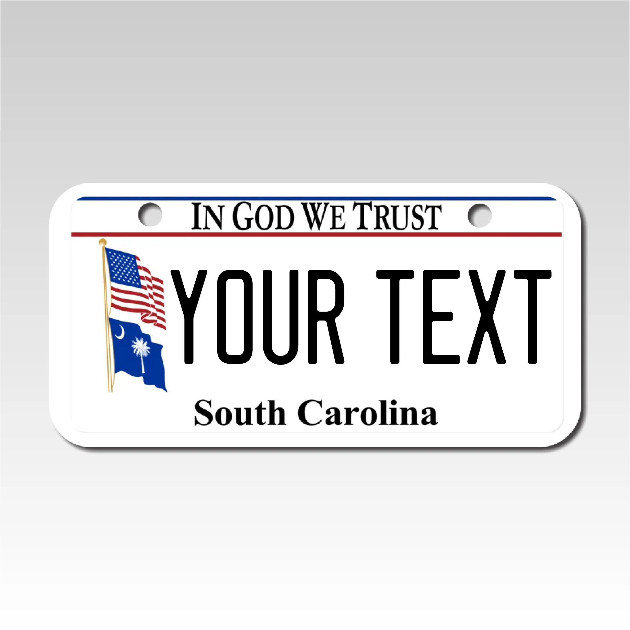 Personalized South Carolina 3" X 6" Aluminum License Plate Version 5 In God We Trust