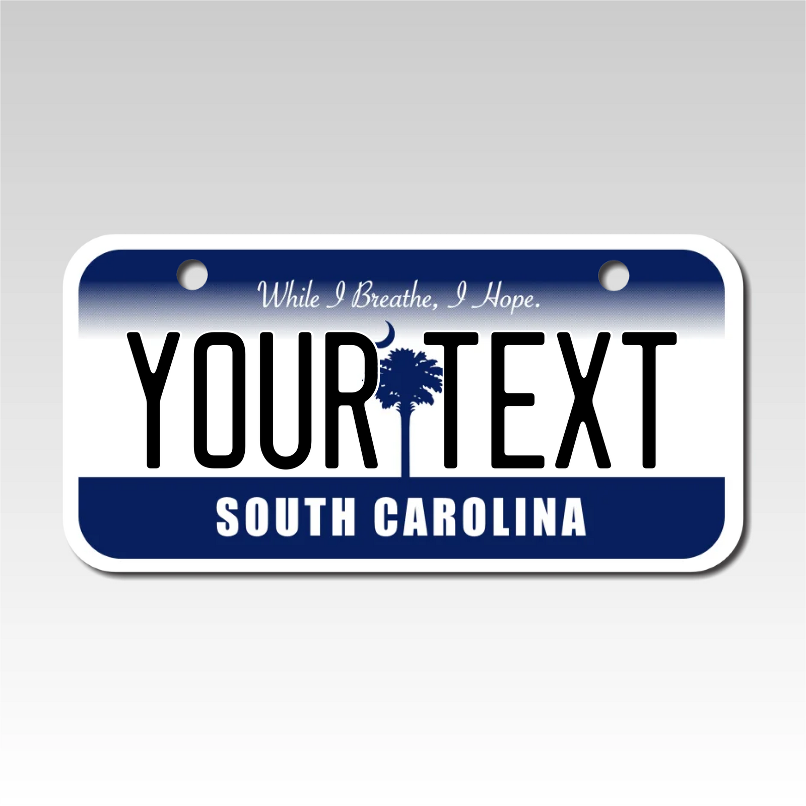 Personalized South Carolina 3