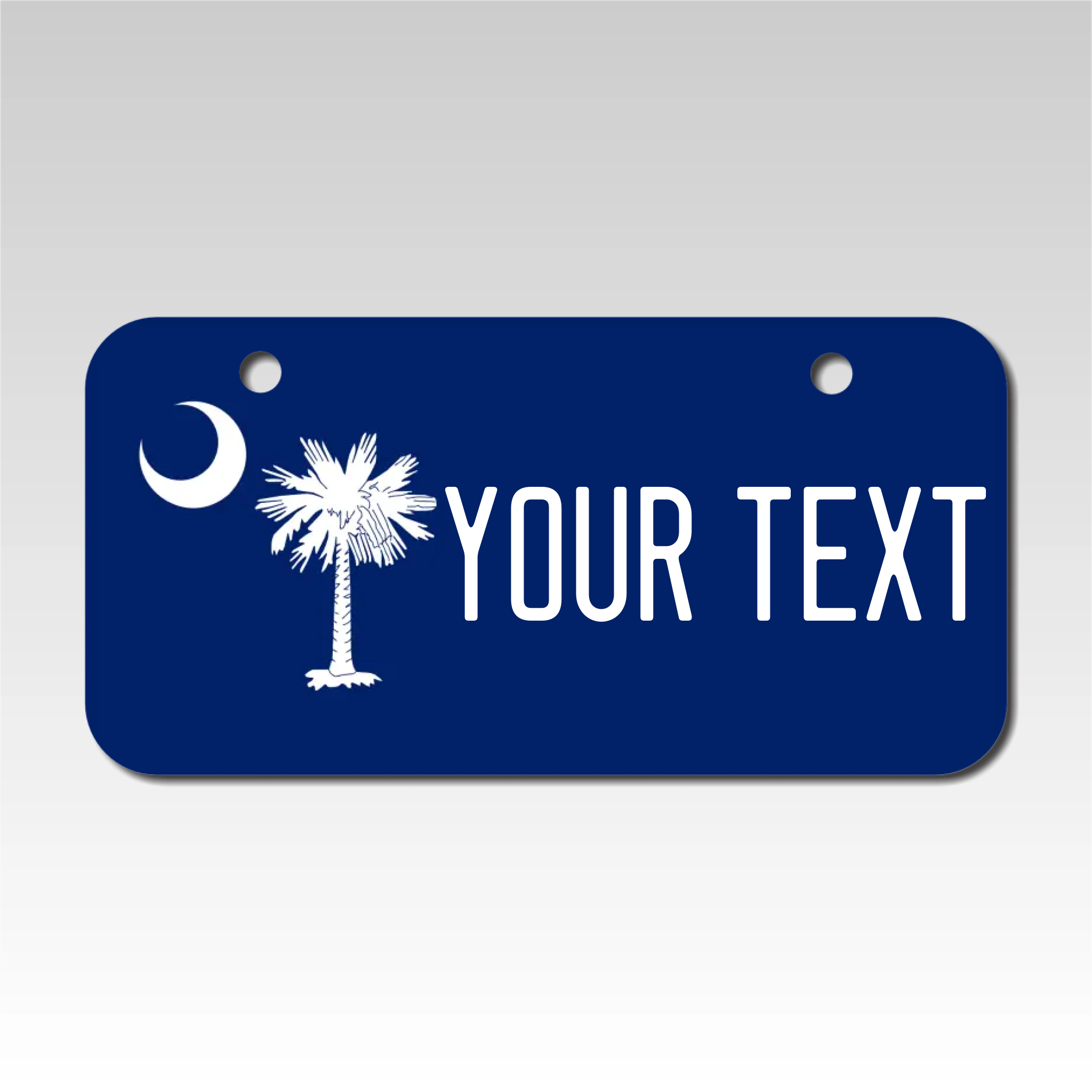 Personalized South Carolina 3" X 6" Aluminum License Plate Version 3