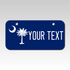 Personalized South Carolina 3" X 6" Aluminum License Plate Version 3