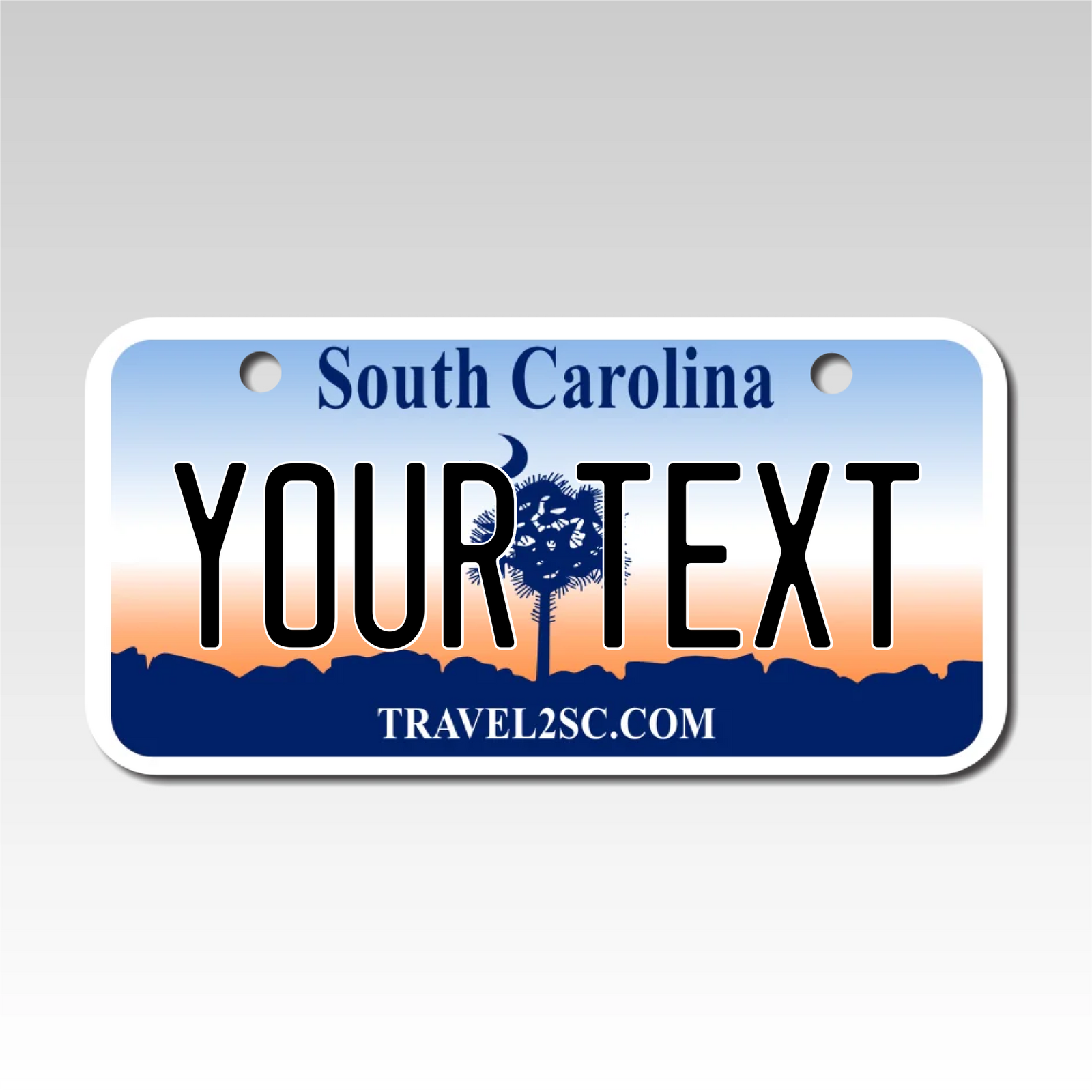 Personalized South Carolina 3
